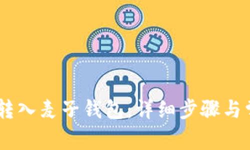 如何将USDT转入麦子钱包：详细步骤与常见问题解答