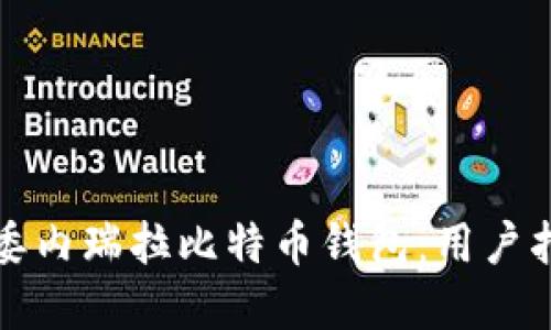 如何安全使用委内瑞拉比特币钱包：用户指南与最佳实践