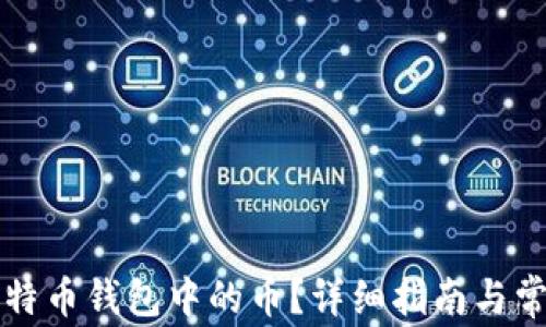 如何找回比特币钱包中的币?详细指南与常见问题解析