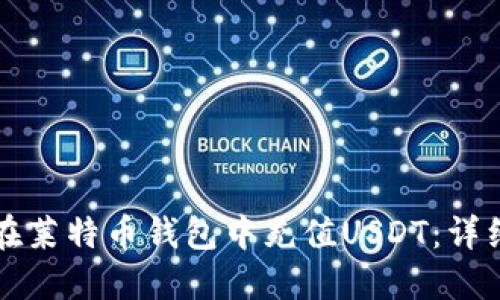 如何在莱特币钱包中充值USDT:详细指南