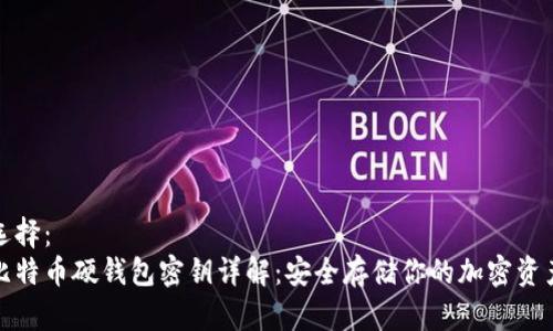 选择： 
比特币硬钱包密钥详解：安全存储你的加密资产