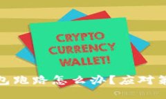 比特币私人钱包跑路怎么办？应对策略与预防措