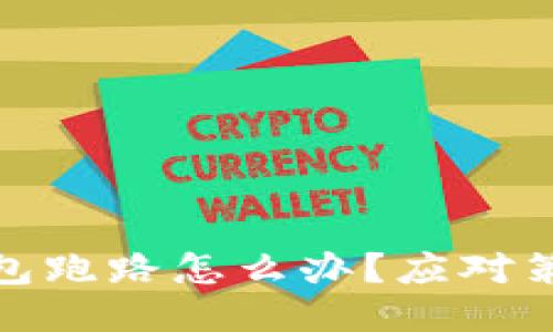 比特币私人钱包跑路怎么办?应对策略与预防措施