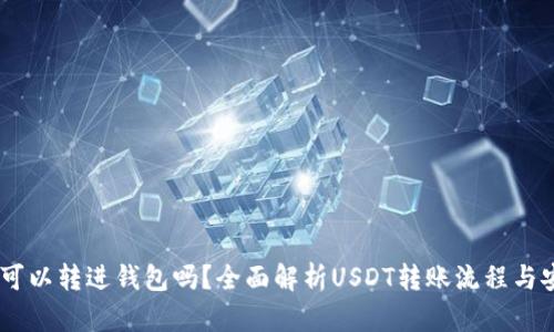USDT可以转进钱包吗？全面解析USDT转账流程与安全性