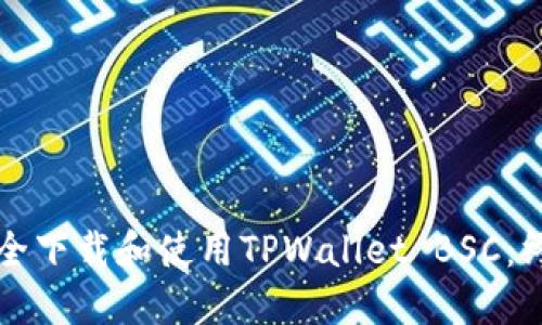 如何安全下载和使用TPWallet BSC：终极指南