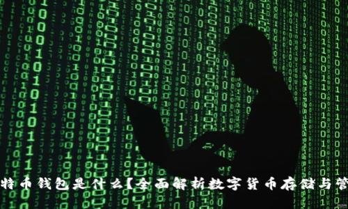 比特币钱包是什么？全面解析数字货币存储与管理