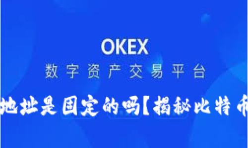 比特币钱包地址是固定的吗？揭秘比特币地址的真相