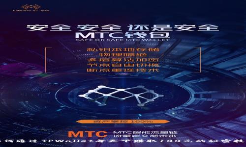 如何通过TPWallet每天下赚取100元的秘密技巧