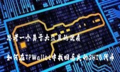 思考一个易于大众且的优质如何在TPWallet中找回丢