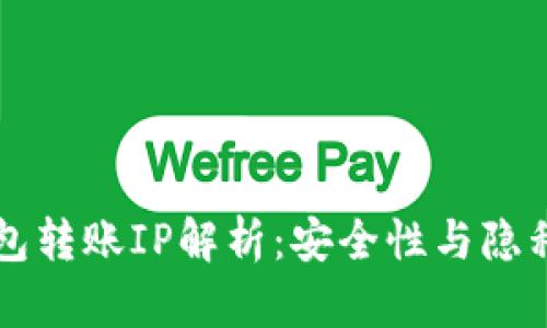 比特币钱包转账IP解析：安全性与隐私保护指南